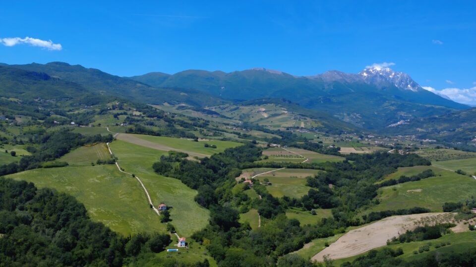 IMG_20251123_085151_797